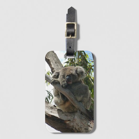 Koala - Sleeping Bagagelabel (Voorkant (verticaal))
