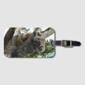 Koala - Sleeping Bagagelabel (Voorkant (horizontaal))