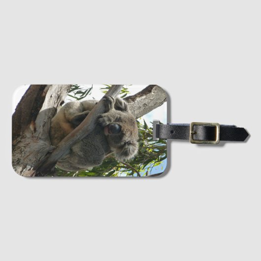 Koala - Sleeping Bagagelabel (Voorkant (horizontaal))