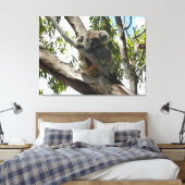Koala - Sleeping Canvas Afdruk (Insitu (Slaapkamer))
