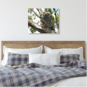 Koala - Sleeping Canvas Afdruk (Insitu (Slaapkamer))