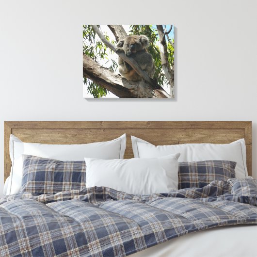 Koala - Sleeping Canvas Afdruk (Insitu (Slaapkamer))