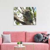 Koala - Sleeping Canvas Afdruk (Insitu (Woonkamer))