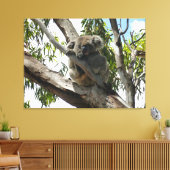 Koala - Sleeping Canvas Afdruk (Insitu (Woonkamer))