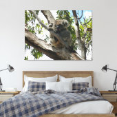 Koala - Sleeping Canvas Afdruk (Insitu (Slaapkamer))