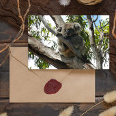 Koala - Sleeping Feestdagenkaart