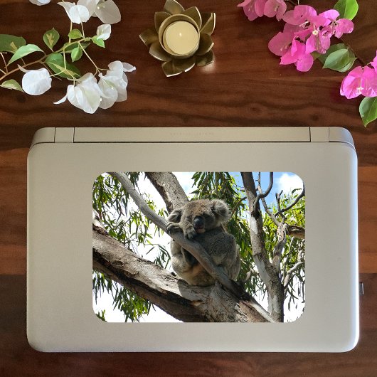 Koala - Sleeping Gift Labels