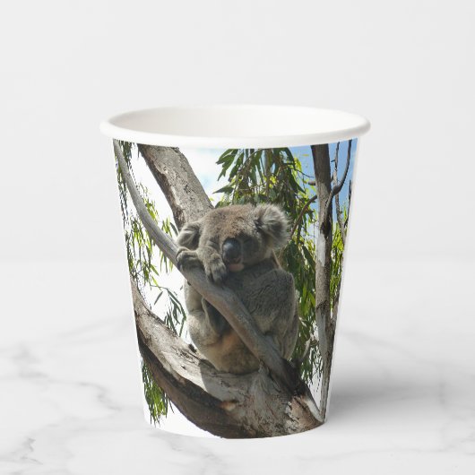 Koala - Sleeping Gift Labels Papieren Bekers (Voorkant)