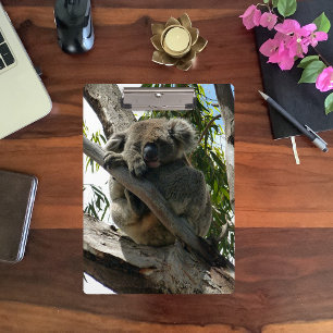Koala - Sleeping Klembord