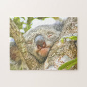 Koala Sleeping Legpuzzel (Horizontaal)