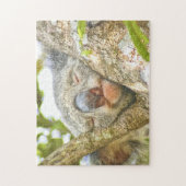 Koala Sleeping Legpuzzel (Verticaal)
