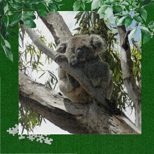 Koala - Sleeping Legpuzzel