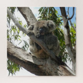 Koala - Sleeping Legpuzzel (Verticaal)