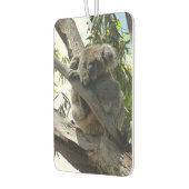 Koala - Sleeping Luchtverfrisser (Links)