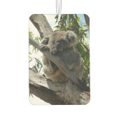 Koala - Sleeping Luchtverfrisser (Achterkant)