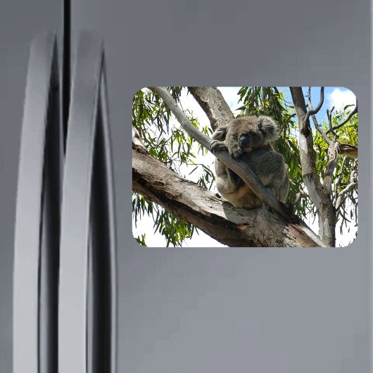 Koala - Sleeping Magneet