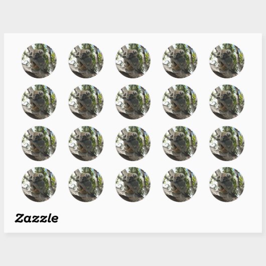 Koala - Sleeping Ronde Sticker (Vel)
