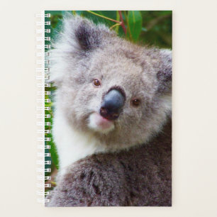 Koala Small Soft Hoesje, White Spiral Planner