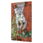 Koala Snack Time Clipboard Klembord (Links)