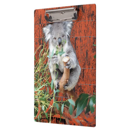 Koala Snack Time Clipboard Klembord (Links)