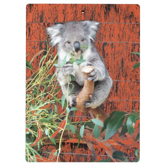Koala Snack Time Clipboard Klembord (Achterkant)