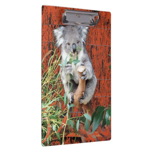 Koala Snack Time Clipboard Klembord (Rechts)