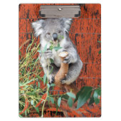 Koala Snack Time Clipboard Klembord (Voorkant)