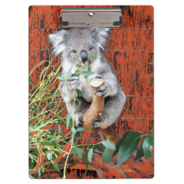 Koala Snack Time Clipboard Klembord