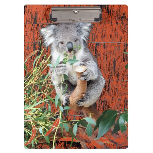 Koala Snack Time Clipboard Klembord (Voorkant)