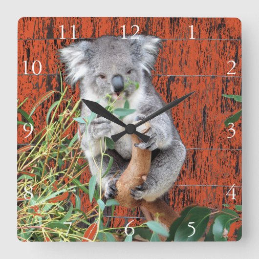 Koala Snack Time Clock Vierkante Klok (Voorkant)