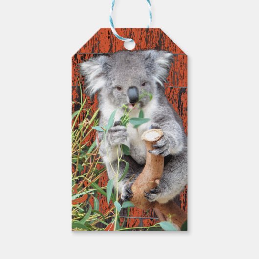 Koala Snack Time Gift Label Cadeaulabel (Voorkant)