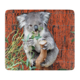 Koala Snack Time Glass Choping Board Snijplank