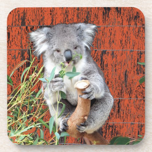 Koala Snack Time Hard Plastic Onderzetters (Voorkant)