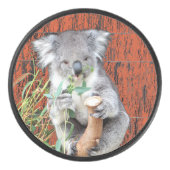 Koala Snack Time Hockey Puck (Voorkant)
