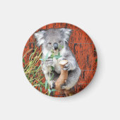Koala Snack Time Magnet (Voorkant)