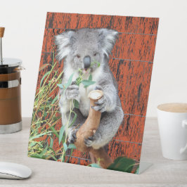 Koala Snack Time Pedestal Sign Reclamebord Met Voetstuk