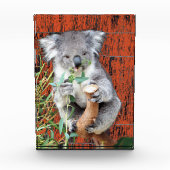 Koala Snack Time Photo Block Fotoblokken (Voorkant)