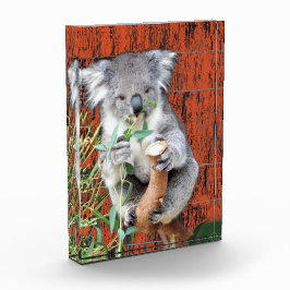 Koala Snack Time Photo Block Fotoblokken