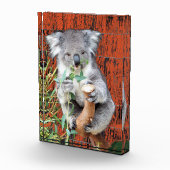 Koala Snack Time Photo Block Fotoblokken (Rechts)