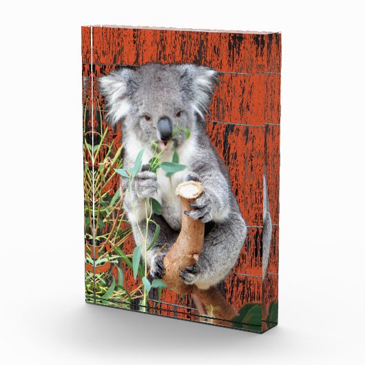 Koala Snack Time Photo Block Fotoblokken (Rechts)