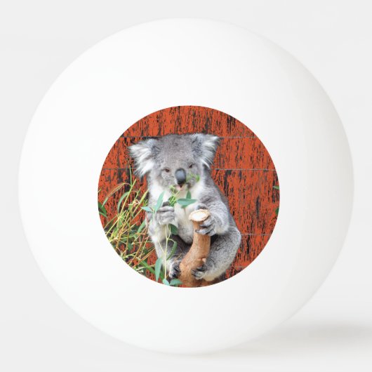 Koala Snack Time Ping Pong Ball (Voorkant)