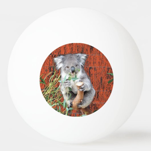 Koala Snack Time Ping Pong Ball (Achterkant)