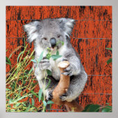 Koala Snack Time Poster (Voorkant)