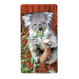 Koala Snack Time Return Label