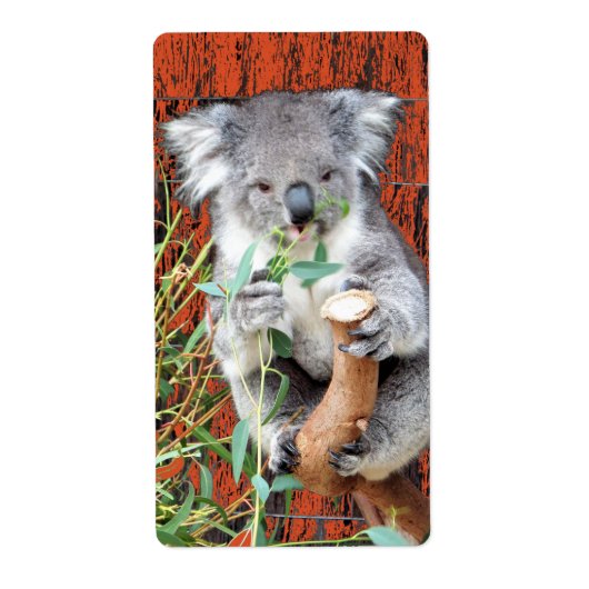 Koala Snack Time Return Label (Voorkant)
