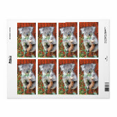 Koala Snack Time Return Label (Full Sheet)