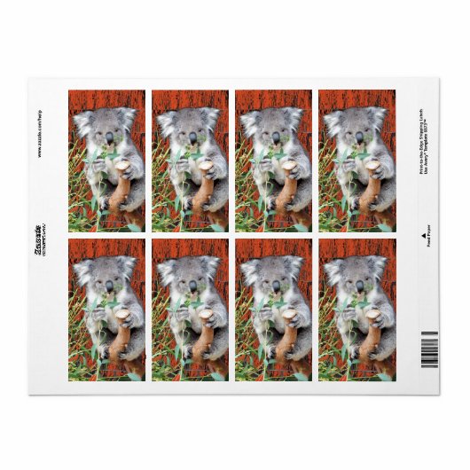Koala Snack Time Return Label (Full Sheet)