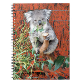 Koala Snack Time Spiral Notitieboek