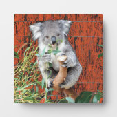 Koala Snack Time Table Top Plaque Fotoplaat (Voorkant)