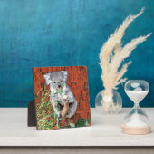 Koala Snack Time Table Top Plaque Fotoplaat (Insitu)